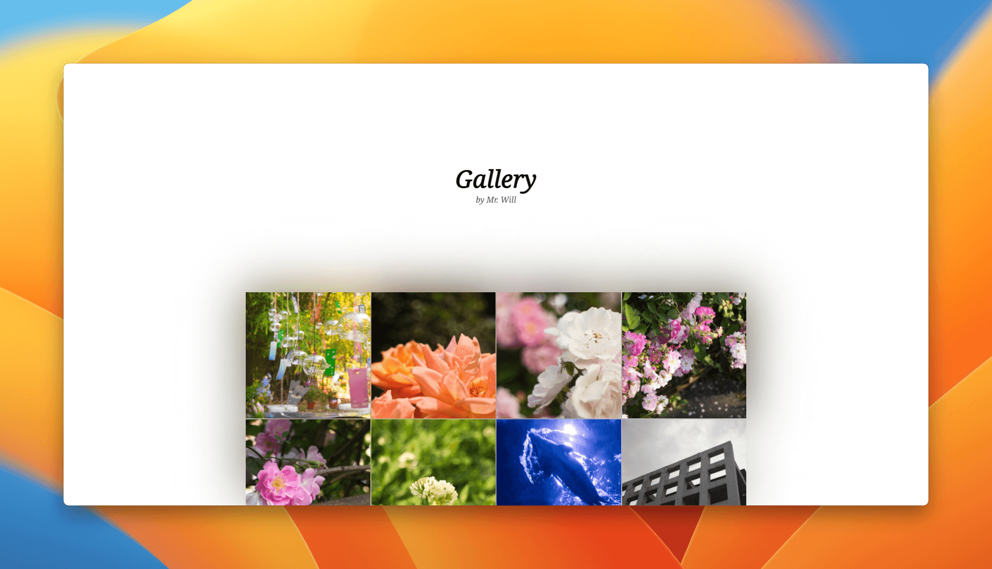 Screenshot of Next Mastodon Gallery
