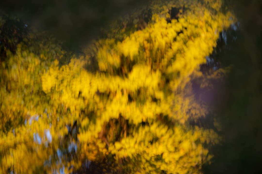Fediverse profile header
